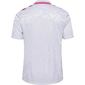 Dinamarca away 24/25