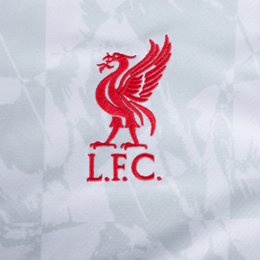 Liverpool third 24/25 - Virgil #4