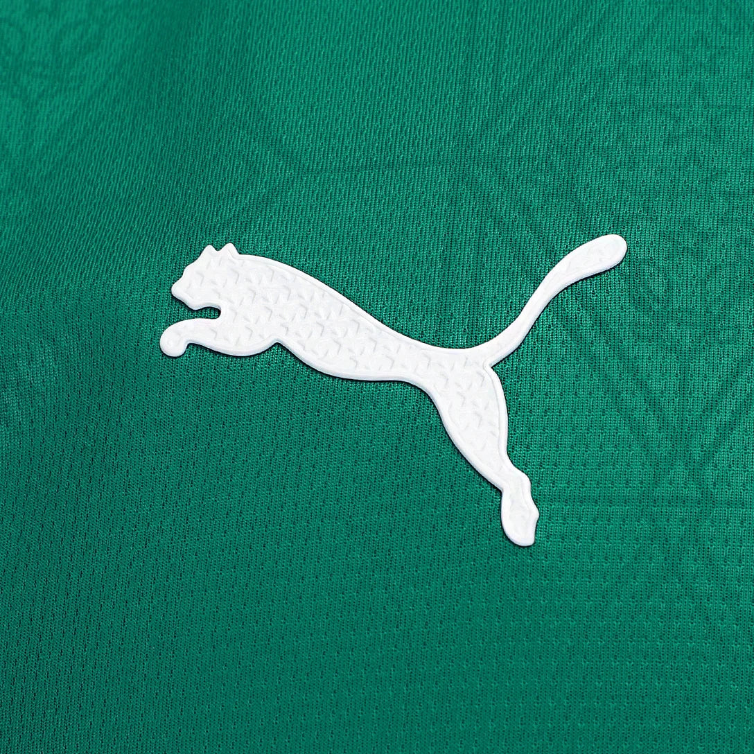 Camisa Palmeiras I 25/26 - Jogador Masculina - Verde